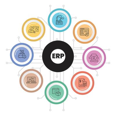 Enterprise Software Systems